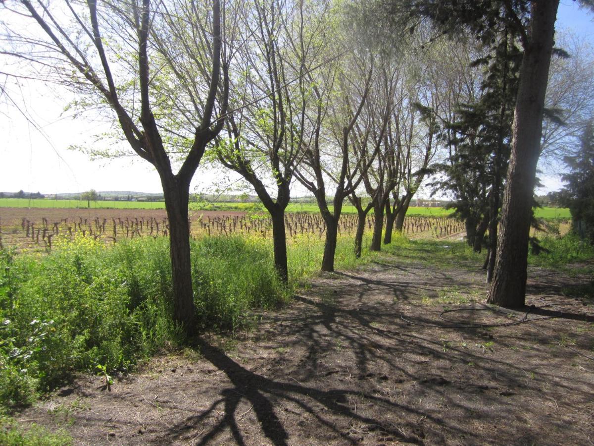 Casa Finca Rural La Huerta Almagro Kültér fotó