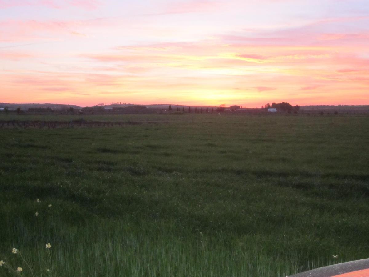 Casa Finca Rural La Huerta Almagro Kültér fotó
